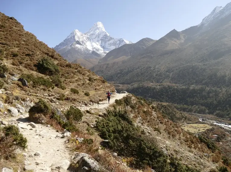 Eine Person wandert auf einem Bergpfad mit schneebedeckten Himalaya-Gipfeln im Hintergrund.
