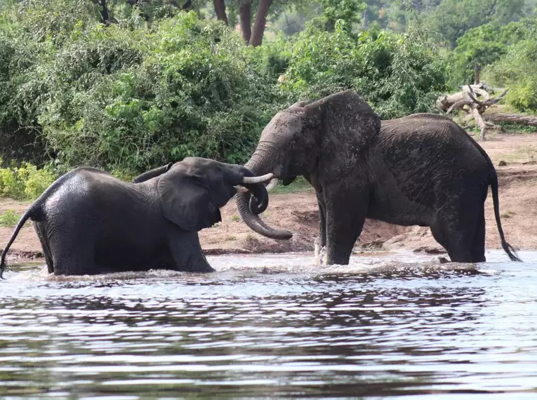 Botswana & Simbabwe - Vom Okavango-Delta zu den majestätischen Victoriafällen