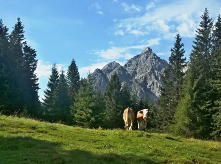 Alpenüberquerung Garmisch - Sterzing individuell mit Hotelkomfort – Bild 7