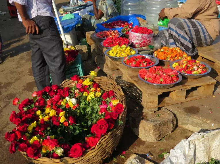 Indiens Süden: Keralas Naturschönheiten entdecken