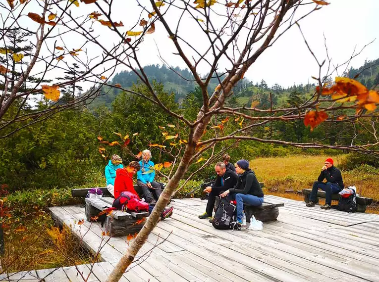 Jetzt haben wir uns eine Mittagspause verdient! Reisegruppe bei einer Pause auf Holzplattform in herbstlichem Naturpark