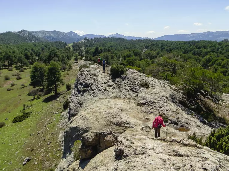Andalusien entdecken: Eine Reise durch Natur, Geschichte und Kultur