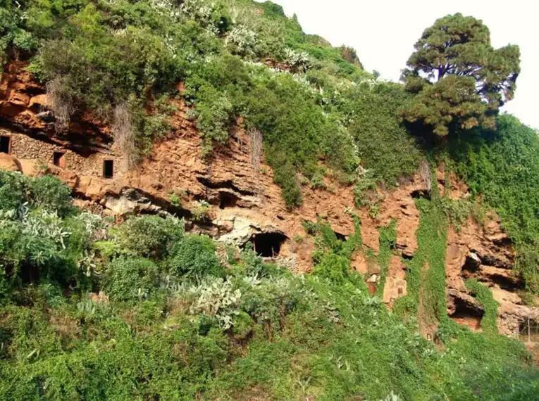 Grüne Felswand mit Vegetation auf La Palma.