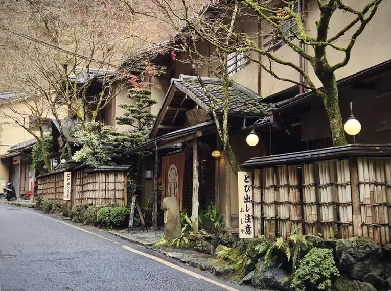 Japan: Kirschblüte oder Herbstlaub zaubern Farbenwunder