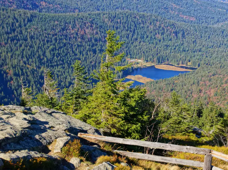 Die Highlights im Nationalpark Bayerischer Wald erwandern