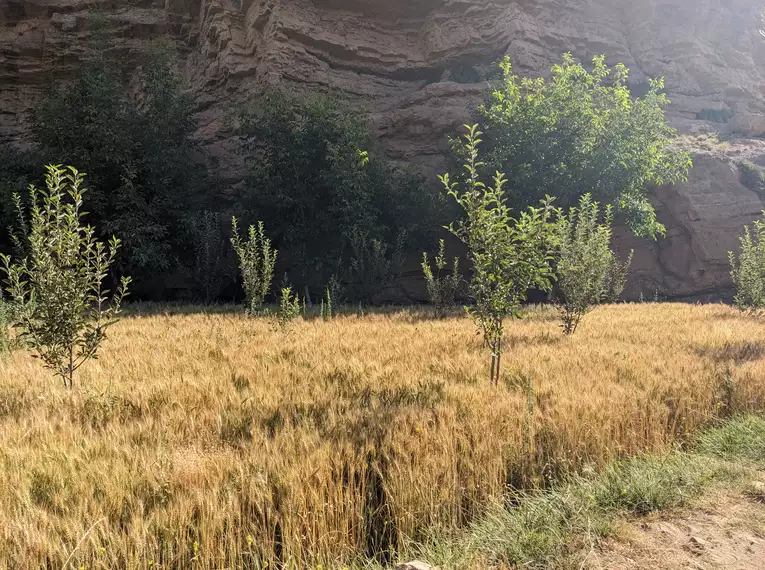 Marokko - Sommer-Wanderreise im Tal der Glücklichen