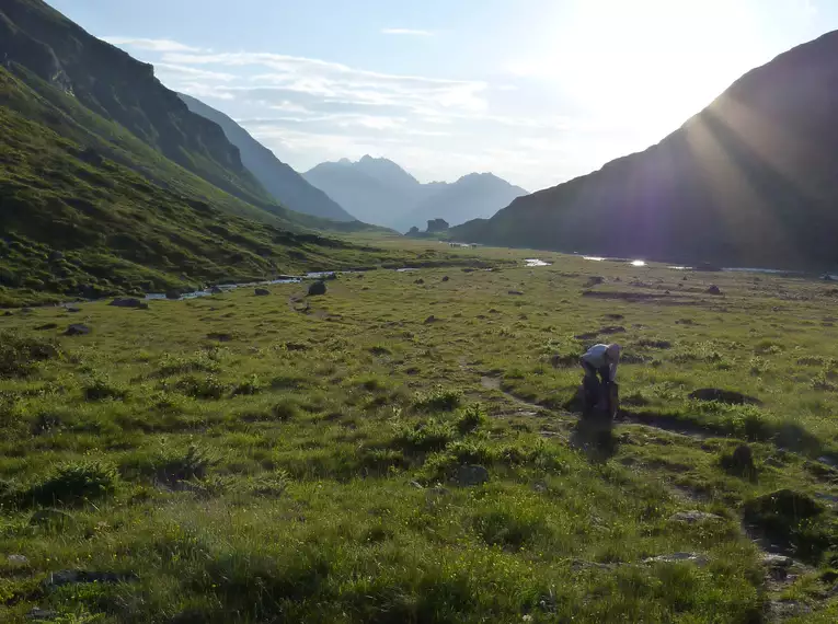 Berglandschaft mit grünen Wiesen und Sonnenaufgang im Stubai-Tal hinter de rFranz Senn Hütte