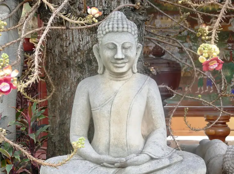 Buddha-Statue unter blühendem Baum in Vietnam.