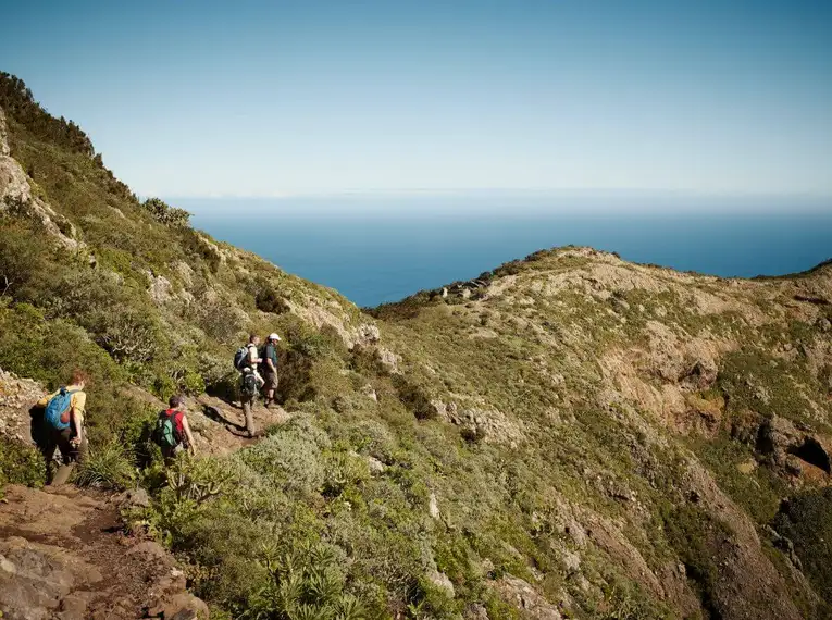 Die Highlights Teneriffas erwandern – Bild 5