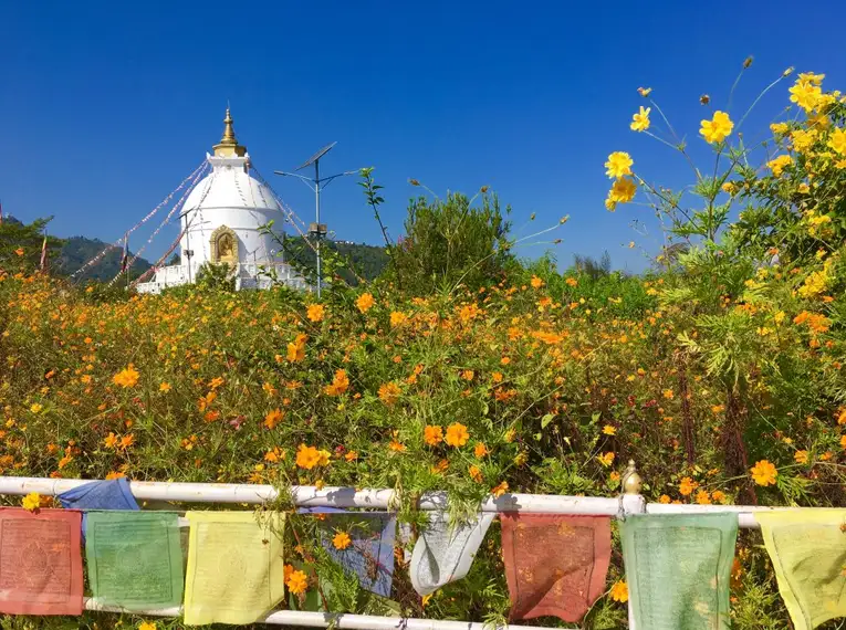 Weiße Stupa mit Gebetsfahnen und blühenden Blumen im Vordergrund.