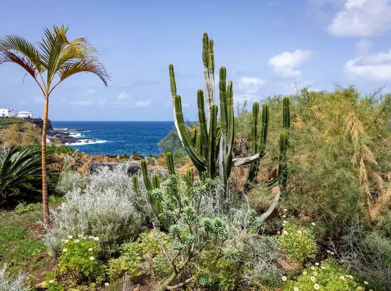 Silvester auf La Palma