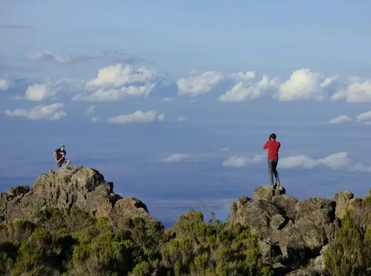 In Kleingruppen auf den Kilimanjaro: Lemosho-Route (Northern Circuit)  – Bild 13