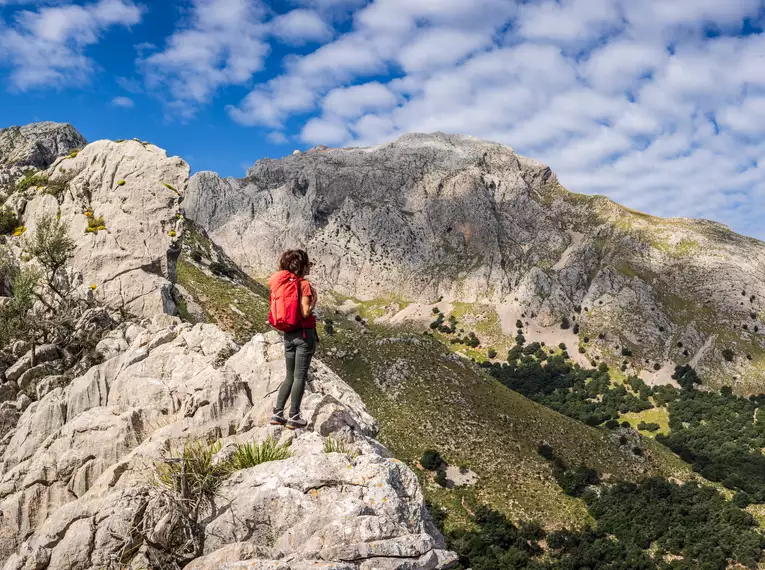 Silvester in Palma de Mallorca