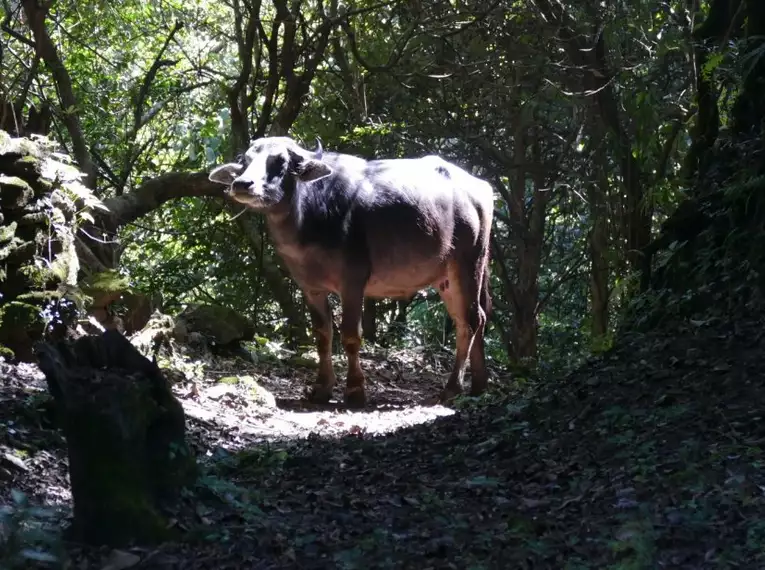 Nepal – Annapurna Panorama Lodge-Trek