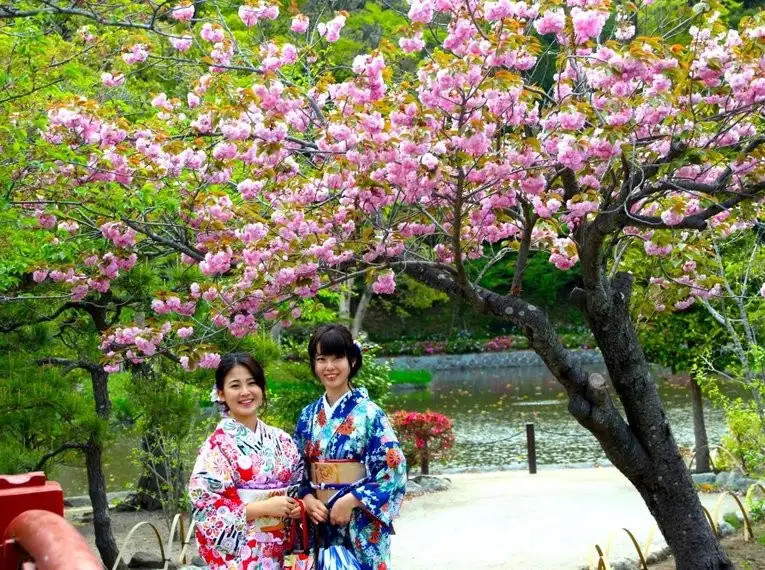 Japan: Kirschblüte oder Herbstlaub zaubern Farbenwunder