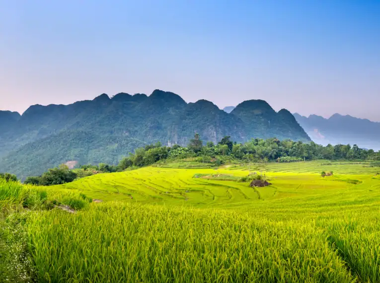 Silvester in Vietnam erleben