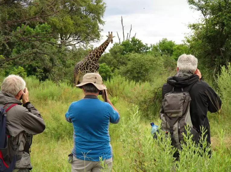 Botswana - Das grüne Herz der Kalahari mit Egmont Strigl