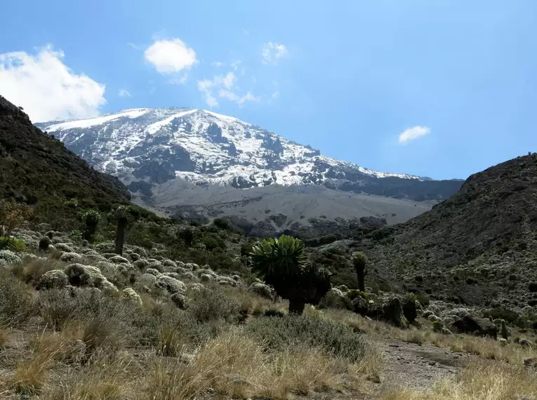 Kilimanjaro: Machame-Route (Southern Cicuit)