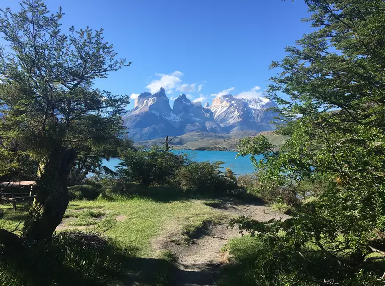 Beeindruckende Bergkulisse im Nationalpark Torres del Paine, umgeben von türkisfarbenem Wasser und grüner Vegetation.