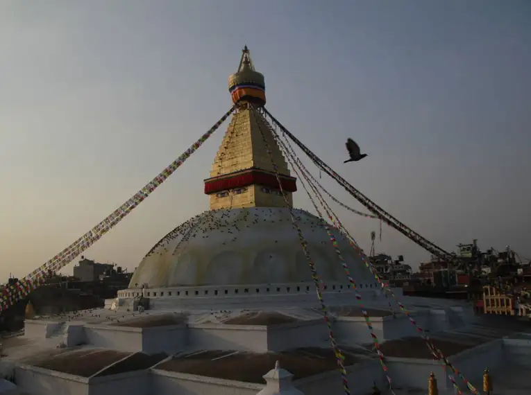Der goldene Stupa von Bodnath im Abendlicht, umgeben von Gebetsflaggen und einer umherfliegenden Taube.