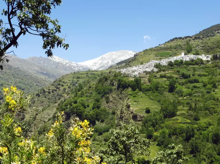 Andalusien entdecken: Eine Reise durch Natur, Geschichte und Kultur