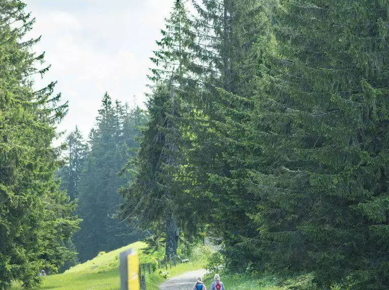 Vom Tegernsee zum Schliersee - individuelle Trekkingtour