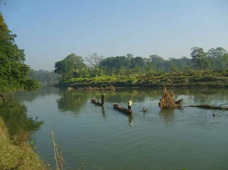 Zwei Einbäume auf einem Fluss im Chitwan-Nationalpark, umgeben von üppiger Vegetation.