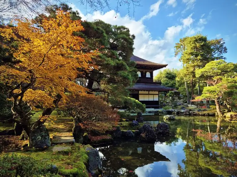 Japan: Kirschblüte oder Herbstlaub zaubern Farbenwunder