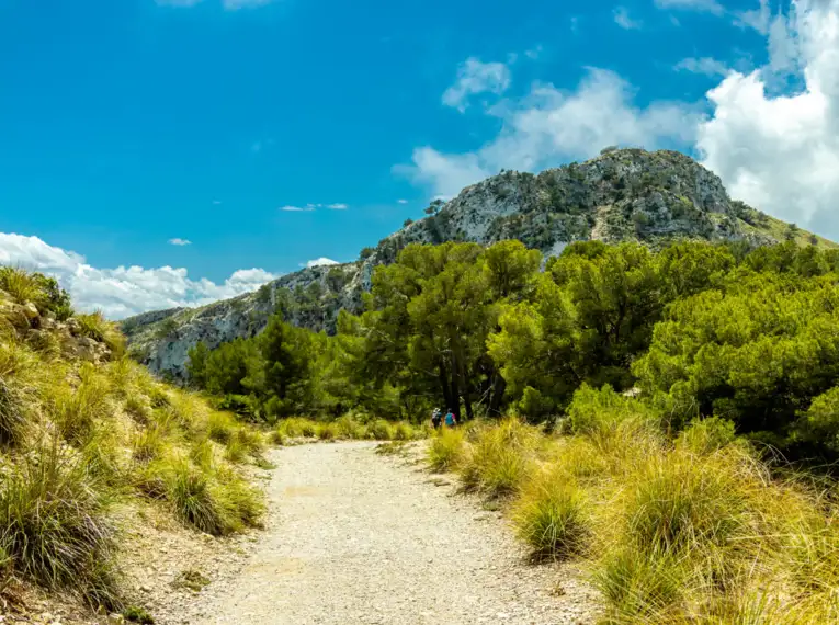 Mallorcas Ostküste erwandern