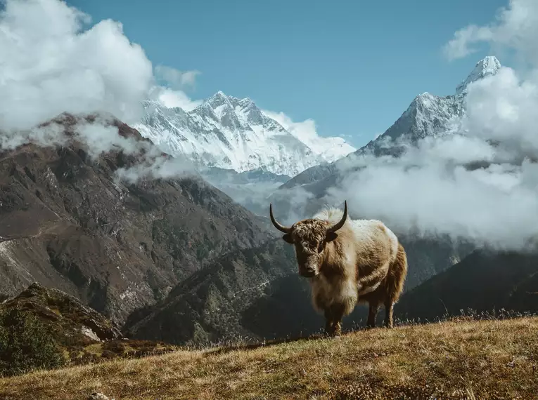 Nepal - Everest Panorama Trek