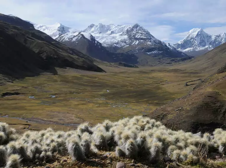 Peru Trekking um den Apu Asangate (5.100 HM)