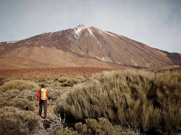 Die Highlights Teneriffas erwandern – Bild 4