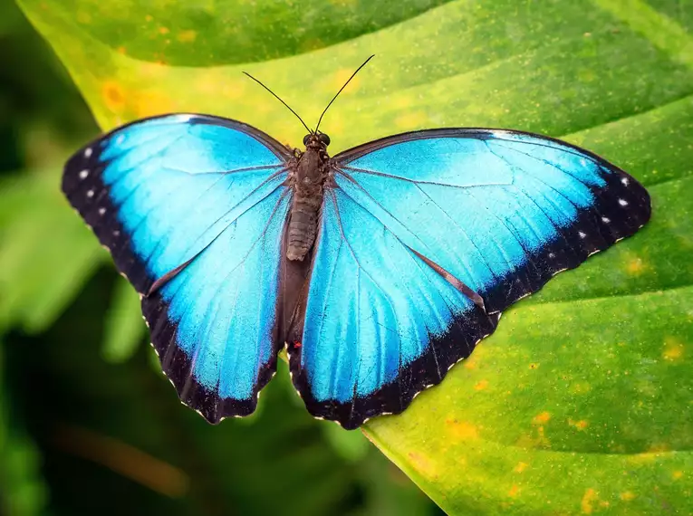 Costa Rica, Nicaragua & Panama gemütlich erwandern
