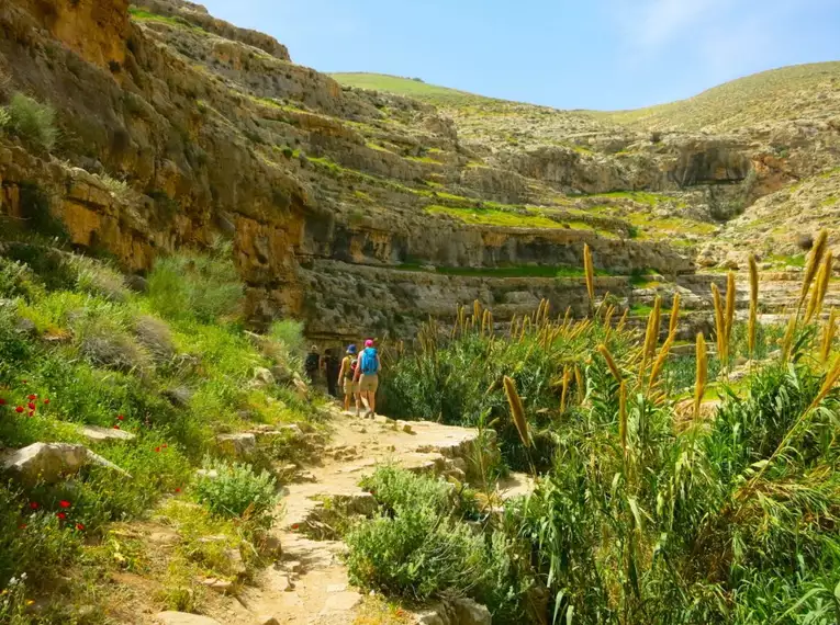 Israel zu Fuß: Eine Wanderreise auf dem Israel National Trail