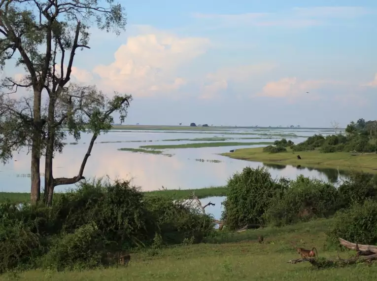 Botswana - Das grüne Herz der Kalahari mit Egmont Strigl