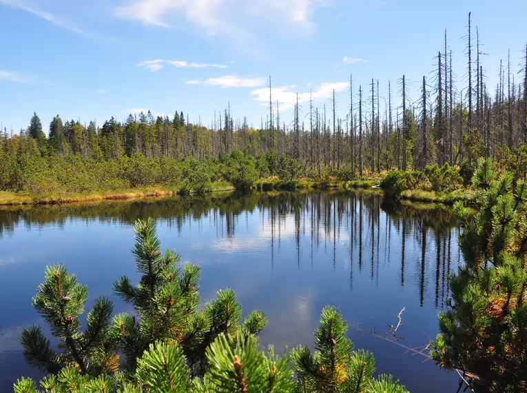 Die Highlights im Nationalpark Bayerischer Wald erwandern