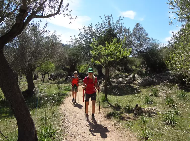 Individuelle Finca-Wanderung Mallorca - mit Charme
