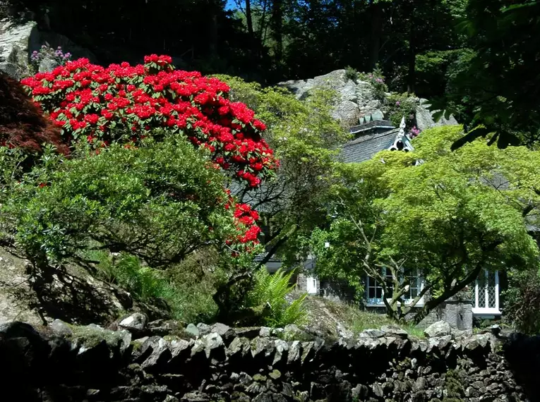 Individuelle Trekkingreise Irland - Kerry Way