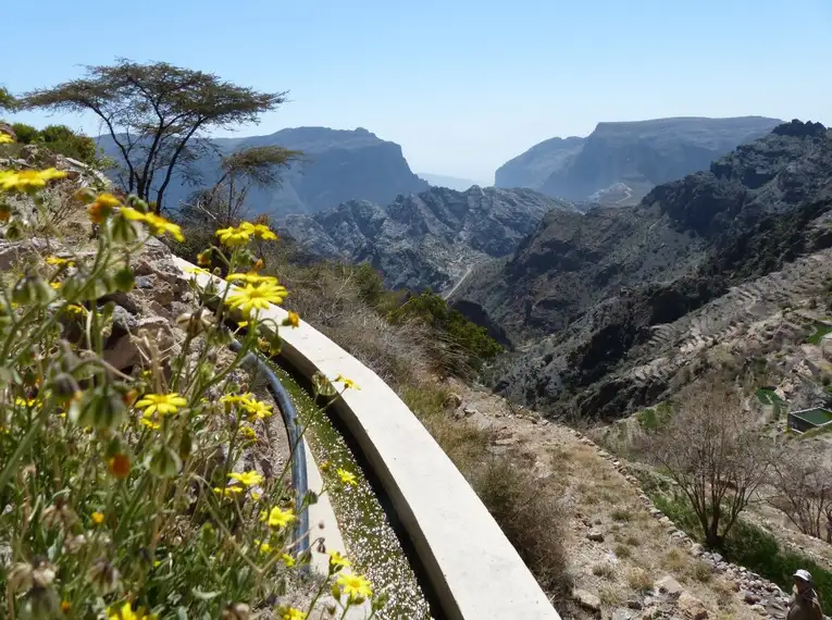 Oman - Anspruchsvolles Trekking im Sultanat – Bild 10