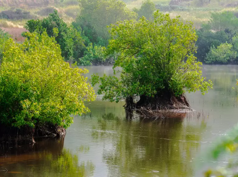 Silvester auf Teneriffa