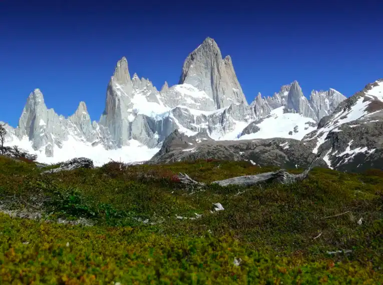 Schneebedeckte Berge und grüne Landschaft in Patagonien, Chile