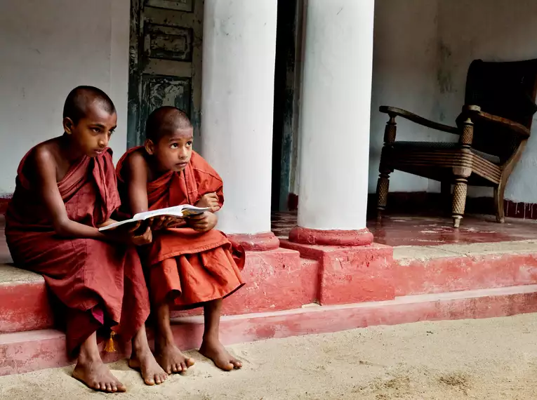 Sri Lankas Highlights erwandern