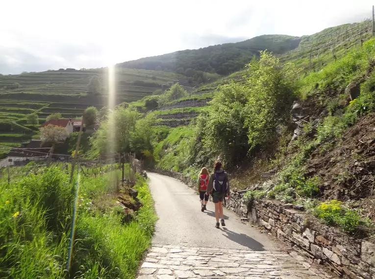 5-tägige individuelle Wanderungen Welterbesteig Wachau