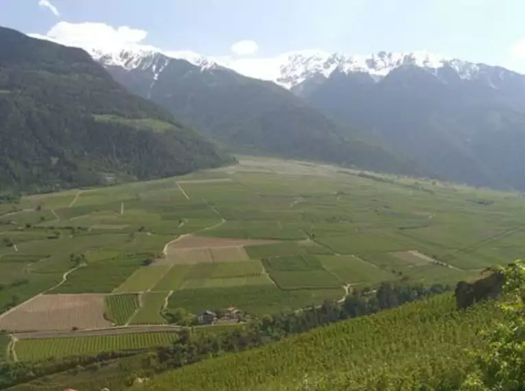 Genüsslich unterwegs - im Vinschgau