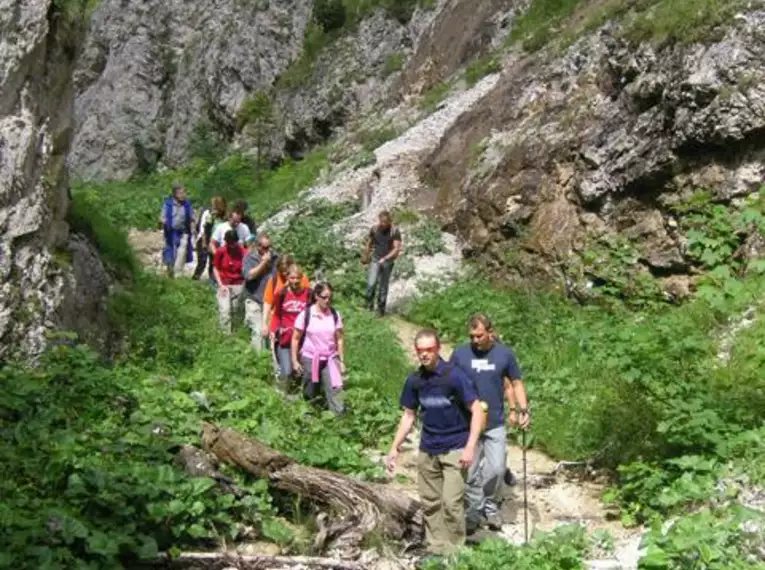 Almwanderwoche in Tirol