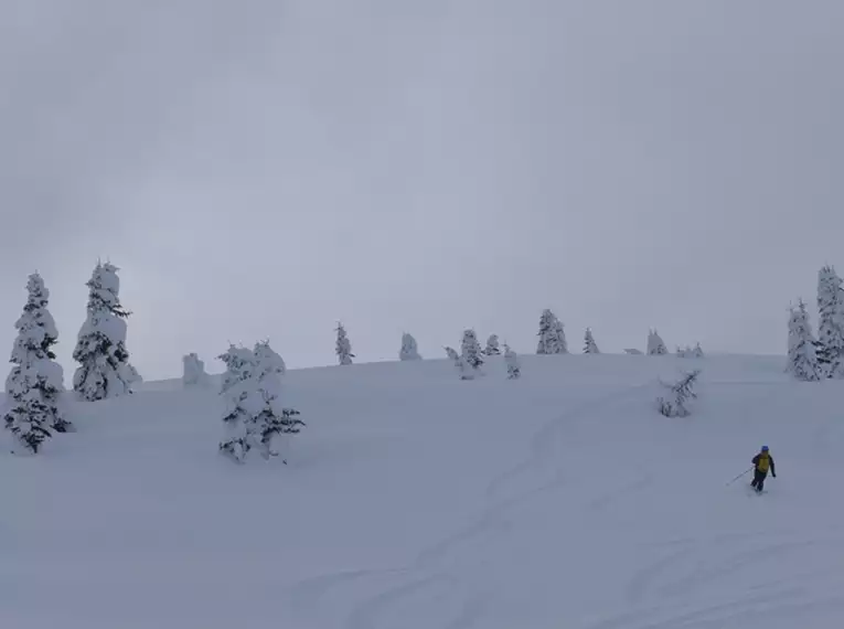 Freeridewochenende am Passo San Pellegrino