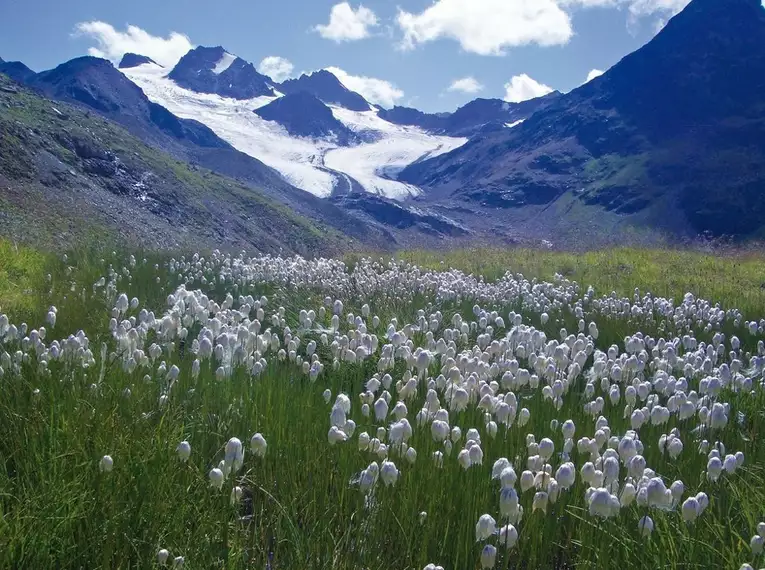 Bergtraum Silvretta