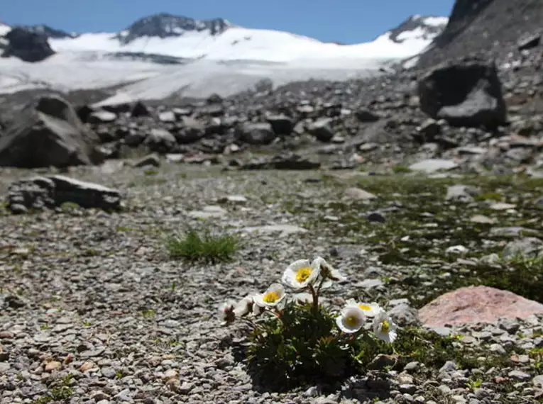 Gipfelwanderungen und leichte Hochtouren über dem Ötztal