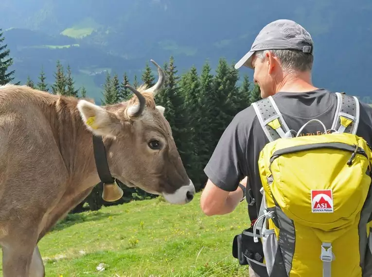 Genusswandern im Bregenzerwald