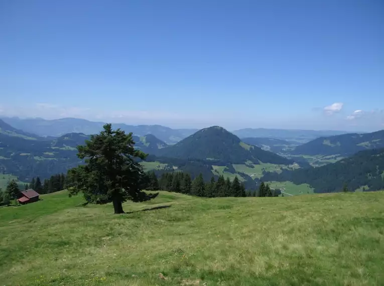 Genusswandern im Bregenzerwald